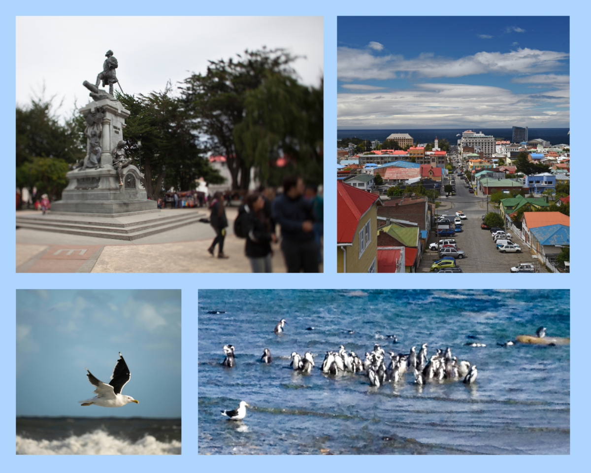 Das Denkmal für die Indigegen auf dem Plaza de Armas, wunderschöne Aussicht über die bunten Dächer Punta Arenas und die Tierwelt, mit Möwen und Magellanpinguinen im Wasser