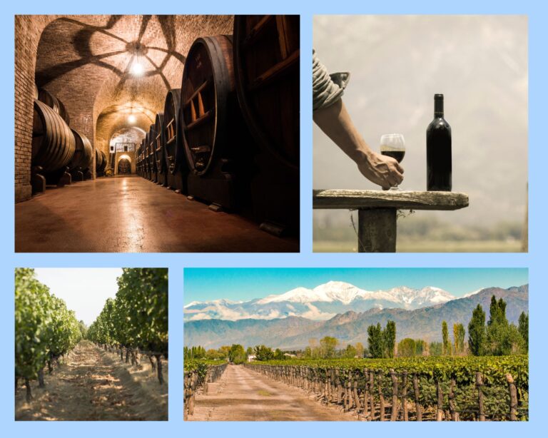 Weinreisen nach Chile und Argentinien verbinden wunderbare Landschaften mit Weingenuss
