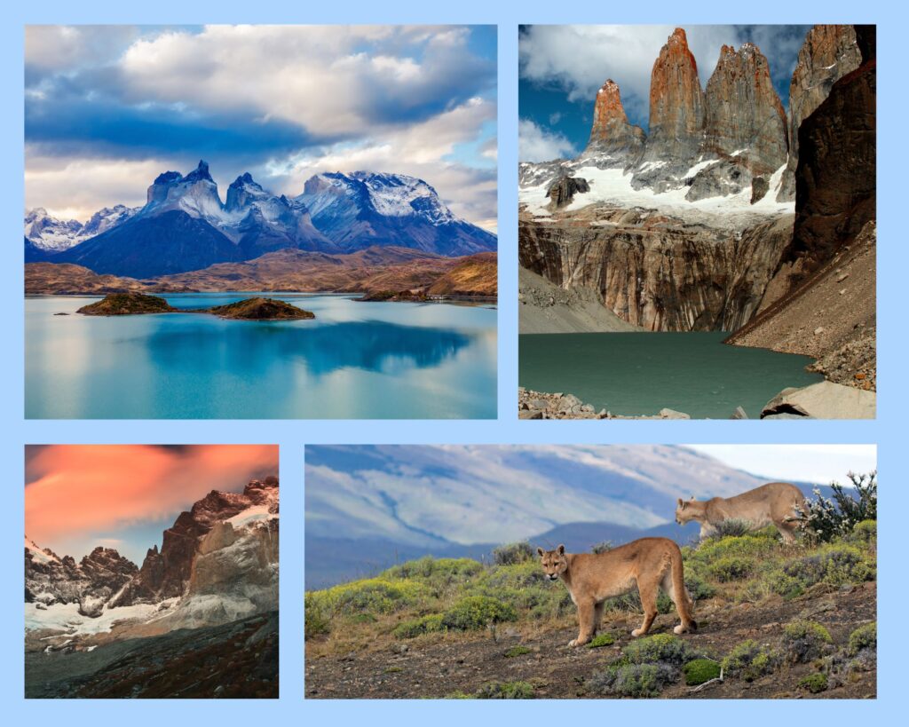 Collage: Torres del Paine Nationalpark: das imposante Bergmassiv mit dem Pehoé See, die Granitnadeln Torres, das Valle de Frances und Pumas im Park
