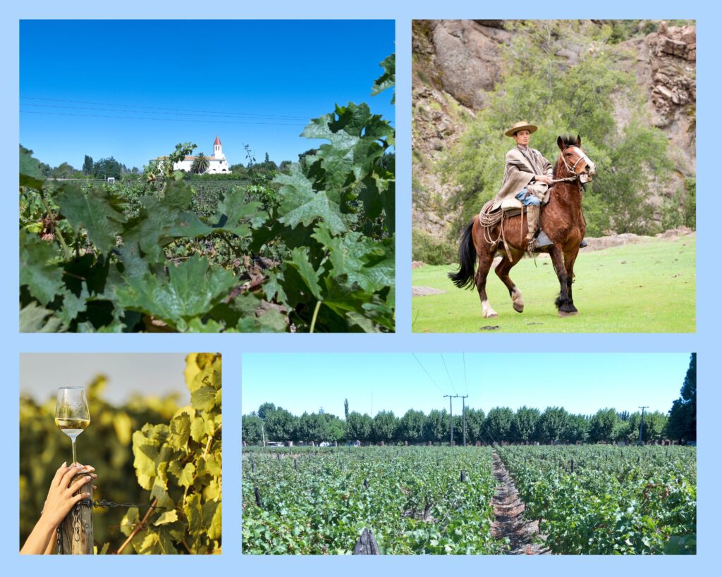 Das Maipo Valley ist günstig zu Santiago de Chile gelegen und bietet sich für Tagesausflüge an