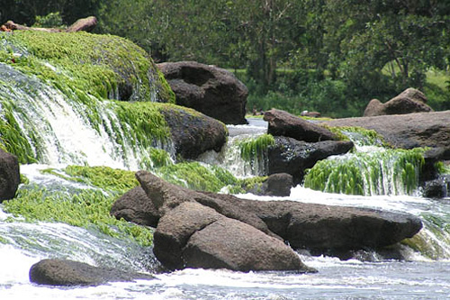 Veralgte Felsen im Fluss © Suriname Tourism Foundation