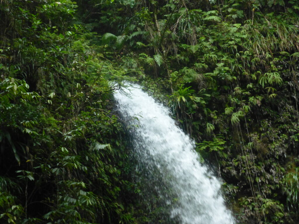 Wasserfall in der Umgebung des Hibiskus Valley Inn