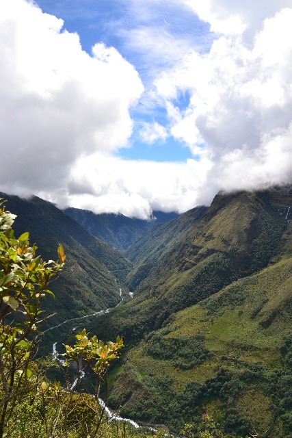 Yungas, Bolivien (© Sophia Weiss)