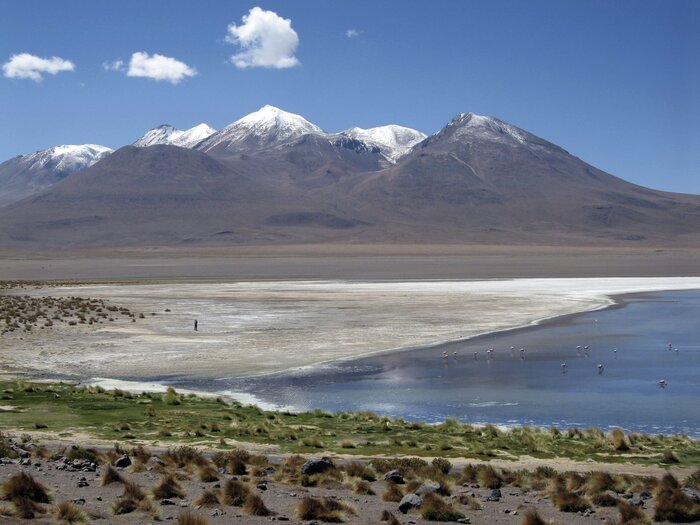 Laguna Cañapa