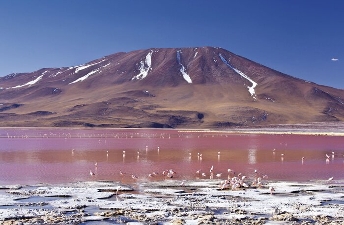 An der Laguna Colorada