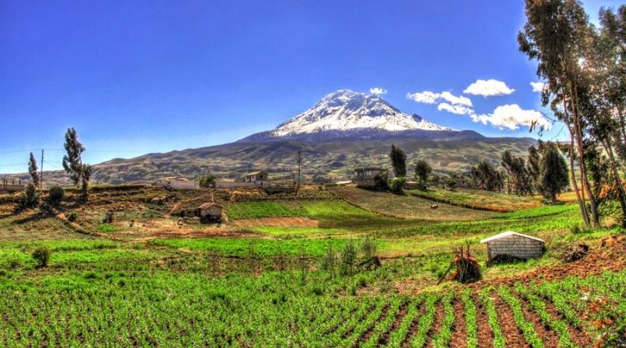 Chimborazo Nationalpark