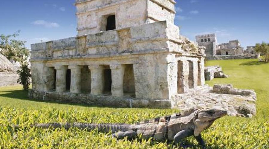 Iguana vor den Ruinen von Tulum