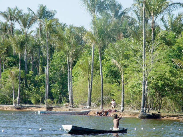 Manaus- Einheimische am Flussufer des Amazonas vor hohen Palmen, mit einem Holzboot im Wasser.