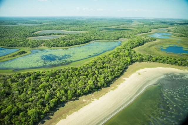 Weite Sumpf- und Lagunenlandschaft im Pantanal mit Wäldern, Wasserflächen und Sandbänken aus der Vogelperspektive