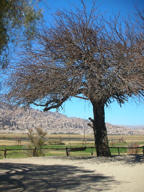 Landschaft zwischen Cachi und Cafayate ( © Sophia Weiss)