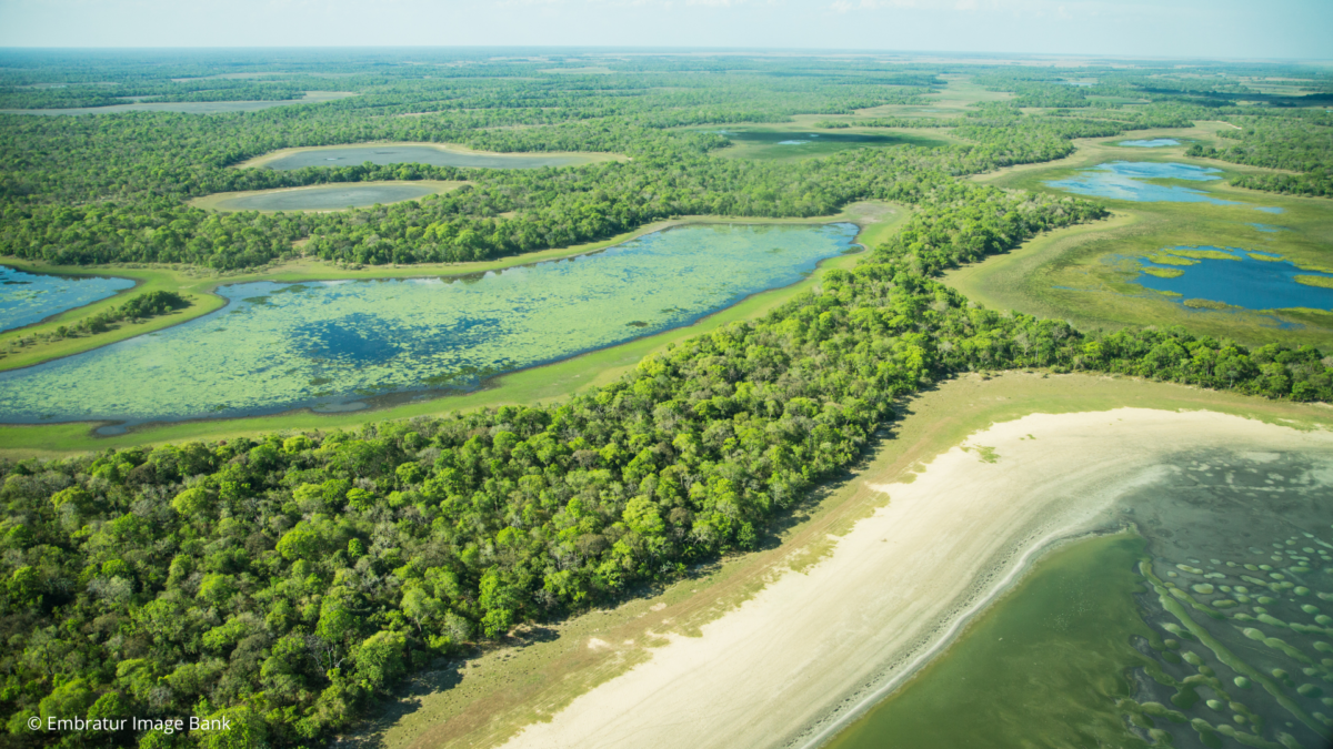 Pantanal © Embratur Image Bank