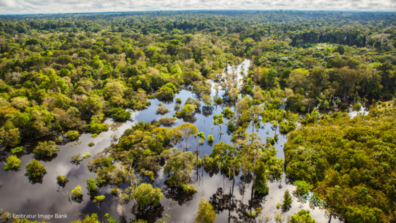 Amazonasbecken ©Embratur Image Bank